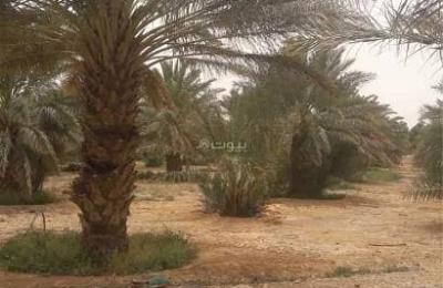 Farm for sale in Al Abalah Farms, Al Abalah