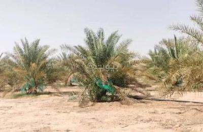 Farm for Sale in Ibn ali Farms, Malham