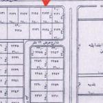Land 450 SQM Facing North on 32m Width Street