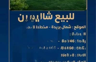 Rest House 365 SQM Facing South West on 15m Width Street