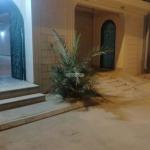 Villa 386.25 SQM Facing North with 4 Bedrooms