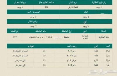 Land 300 SQM Facing East on 15m Width Street