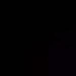 Apartment with 1 Bedroom