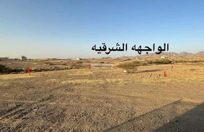  SQM Land for Sale