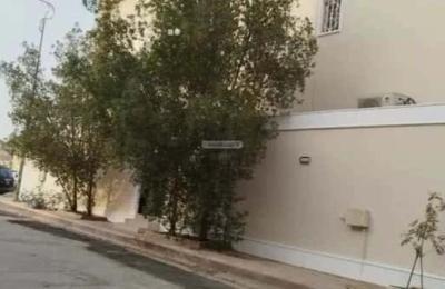 Villa 274 SQM Facing South East on 15m Width Street