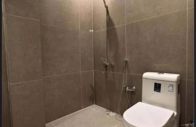 Apartment with 1 Bedroom