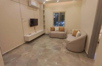 Apartment with 1 Bedroom