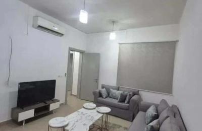 Apartment with 1 Bedroom