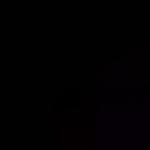 Apartment with 2 Bedrooms