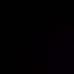 Floor 365 SQM with 4 Bedrooms