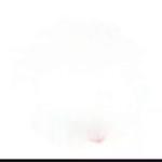 Apartment with 4 Bedrooms