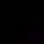 Apartment with 1 Bedroom