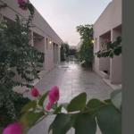 Apartment with 1 Bedroom