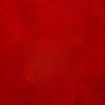 Apartment with 4 Bedrooms