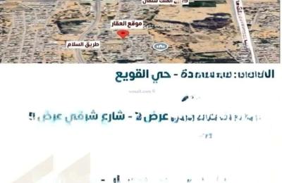 Rest House 401 SQM Facing South on 7.25m Width Street