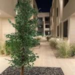 Apartment with 3 Bedrooms