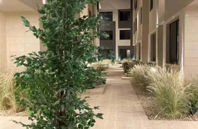 Apartment with 3 Bedrooms